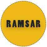 رامسر
